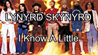 LYNYRD SKYNYRD  I Know A Little Lyric Video [upl. by Hyacinth]