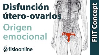 Cáncer de ovario síntomas el tratamiento y todo lo que debes saber [upl. by Rahr498]