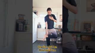 Shaolin  Kai Len Mountain Form Demo kailen martialarts [upl. by Ynavoeg]