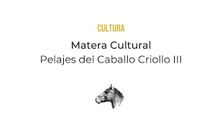 CULTURA Matera Pelajes del Caballo Criollo III Diluciones e intensificaciones Particularidades [upl. by Frodeen428]