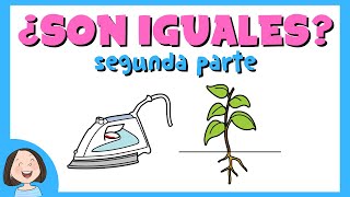 ¿Son iguales  Segunda parte [upl. by Moreland]