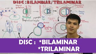 Embryology  DISC Bilaminar  Trilaminar [upl. by Anivol]