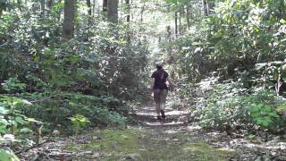 Wawayanda State Park  Pumphouse Trail  njHikingcom [upl. by Gerfen127]