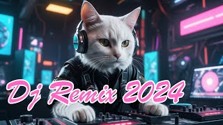 Dj Remix 2024 [upl. by Germaun416]