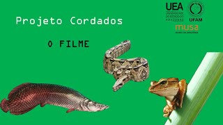 Projeto Cordados  O Filme [upl. by Utley614]