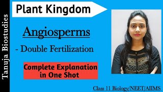 Angiosperms  Complete Explanation  Double Fertilization Plant KingdomClass 11 BiologyNEETAIIMS [upl. by Adnoved]