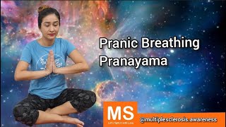 Pranic breathing pranayam [upl. by Cullan275]