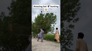 Amazing bat hunting 🦇😱 farming hunting entertainment shorts viralshorts youtubeshorts [upl. by Hawkie]