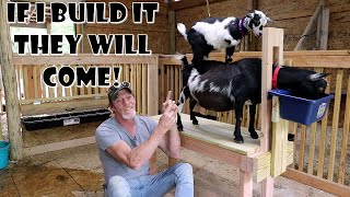 Super Easy DIY goat milking stand  Step by Step [upl. by Ailaro197]