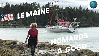 Le Maine aux USA  paradis des homards SV Storia Storia Vlog 79 [upl. by Nodgnal]