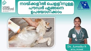 How to use Anti Tick Powder in Dogs by Dr Aswathy Treat Unusual Veterinary Hospital [upl. by Ehgit]