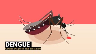 What is Dengue Causes Signs and Symptoms Diagnosis and treatment [upl. by Ahsya]