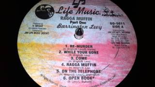 Barrington Levy  While Your Gone [upl. by Cheston187]