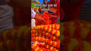 Chhath Puja status Chat Puja Bajpur Chat puja ka status videoshortvideo viralvid [upl. by Wolfgang]