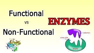 Functional Vs Nonfunctional Enzymes [upl. by Amalbena]