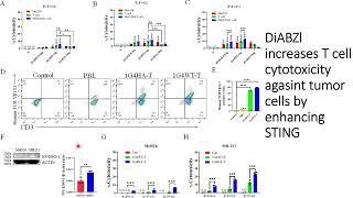 DiaBZl increases Tcell cytotoxicity against tumor cells by STING Code 699 [upl. by Anerat]