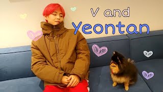 V and his dog Yeontan acting cute together [upl. by Llenahs]