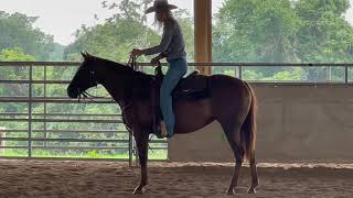 How to prepare yourself to fall off your horse [upl. by Healey]