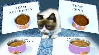 Grumpy Cat predicts winner of Team Cena vs Team Authority [upl. by Odin]