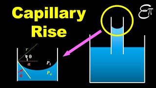 🔴 Capillary Rise  Surface Tension  for Class 11 in HINDI [upl. by Uahc928]