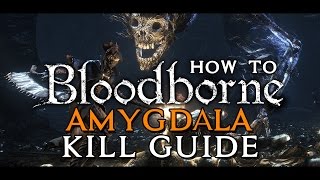 Bloodborne  quotAmygdalaquot Boss Location and Kill Guide [upl. by Trebron]