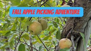 Fall Apple Picking in Crozet VA  Fall Adventure in Virginia [upl. by Pattison]