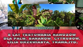 Jaki kupić nawóz do palm bananów brugmansji cytrusów trawy itdTestowane wiele lat dobra cena [upl. by Hertz]