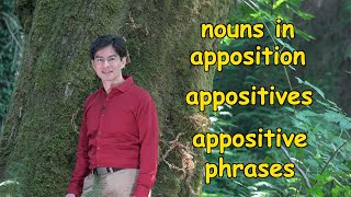 Appositives or Nouns in Apposition  Meaning Use and a Memory Trick  Ask Cozy Grammar [upl. by Bajaj]