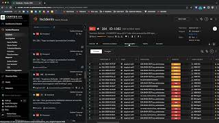 Cortex XDR HowTo Video Incidents [upl. by Snodgrass]