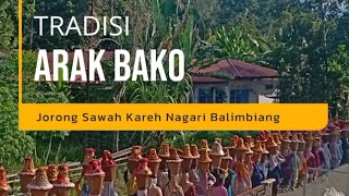 TRADISI ARAK BAKO Jorong Sawah Kareh Nagari Balimbiang Batusangkar [upl. by Clareta]