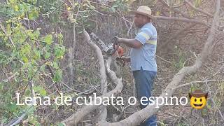 cortando leña de arboles caidos que obstruyen caminos🤠👍 [upl. by Jeralee315]