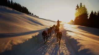 Souvenirs partagés… avec un musher aux Saisies [upl. by Ashling]