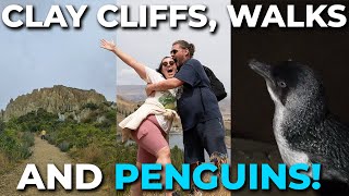 Exploring Omaramas Clay Cliffs Penguin Watching amp More  Starting our New Zealand 2024 Bucket List [upl. by Slocum]