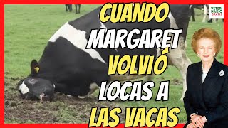 ENFERMEDAD DE LAS VACAS LOCAS O ENCEFALOPATÍA ESPONGIFORME BOVINA 🔴 RELACIÓN CON MARGARET THATCHER [upl. by Darlleen]