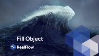 RealFlow 10 Fill Object Parameters [upl. by Aicen]