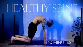 10Minute Yoga for Back Health  BeginnerFriendly Daily Practice [upl. by Alywt24]