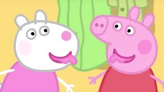 Peppa Pig en Español Episodios completos  Los mejores momentos de Peppa Pig  Pepa la cerdita [upl. by Nada86]