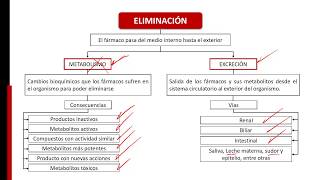 FARMACOCINETICAMETABOLISMO Y EXCRECIÓN DE FÁRMACOS [upl. by Itsyrk342]