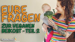 VEGAN FÜR BABYS  Ich beantworte eure FRAGEN zur BEIKOST  Q amp A 2  mutimbauch [upl. by Anuait]