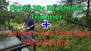 Ryobi 18v One Pole Saw vs Pine Tree Time Lapse [upl. by Patman]