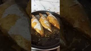 Bangda Fish Fry  तली हुई बांगडा मछली  afrinkakitchens [upl. by Yeleen]