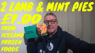 2 LAMB amp MINT PIES FROM £1 AISLE ICELAND FOOD REVIEW [upl. by Belinda]