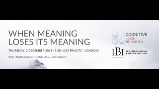 When meaning loses its meaning A conversation with Nora Bateson amp Dave Snowden  Part 1 [upl. by Oicneserc]