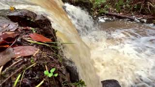 Birkey Burn Waterfall 181123 waterfall northumberland hexham [upl. by Salisbarry114]