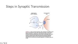 Introduction to Neuropharmacology [upl. by Nil]