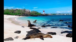 Galápagos Islands  Bird’s Eye View  Aerial View HD [upl. by Paulo628]