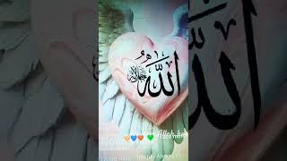 Zikry Allah🧡💙❤️💚🧡💙❤️💚ilovemyprophetmuhammadsaw [upl. by Aecila]