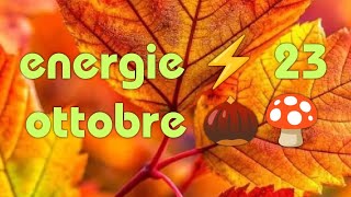 ENERGIE ⚡ 23 OTTOBRE 🍄🌰 [upl. by Heppman]