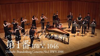 JSバッハ：ブランデンブルク協奏曲 第1番 ｜ JSBach  Brandenburg Concerto No1 BWV1046 [upl. by Knuth103]