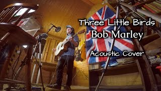 Three Little Birds Acoustic Cover  Bob Marley  w vocal harmoniser pedal [upl. by Aisemaj922]